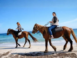 HORSE RIDING