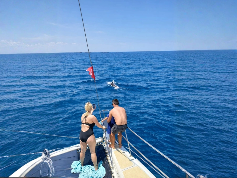 CATAMARAN GROUP 2H