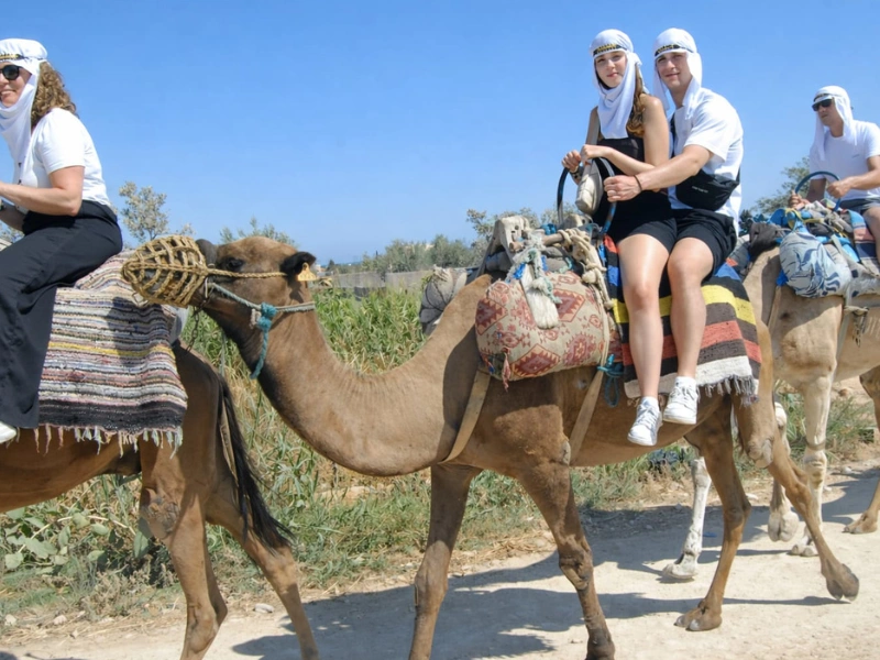 CAMEL TOUR