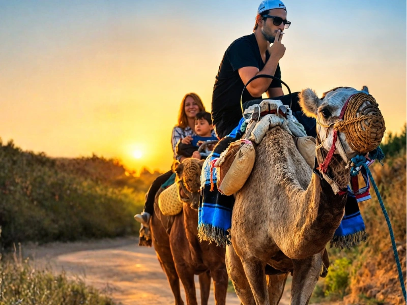 CAMEL TOUR