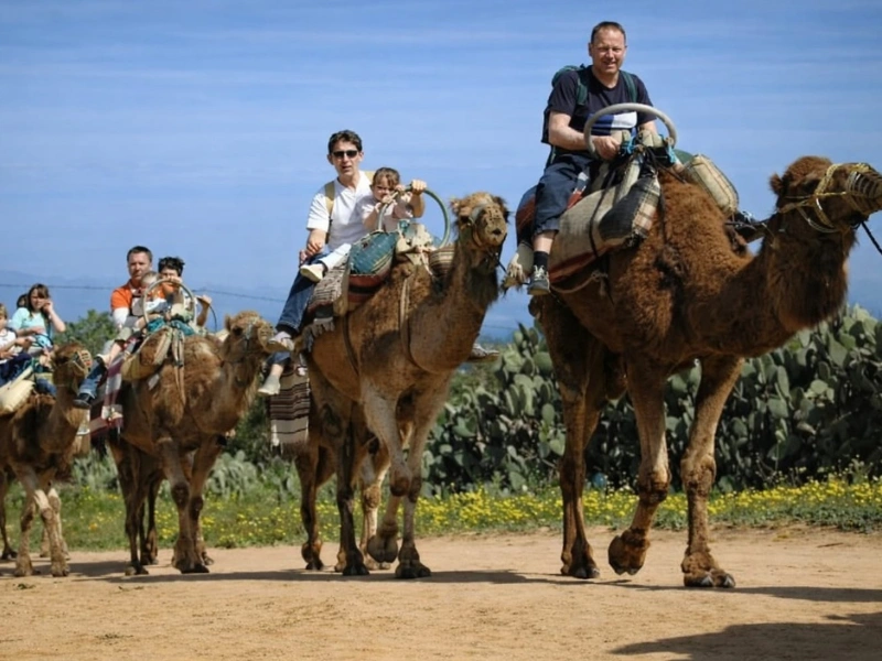 CARAVANE TOUR